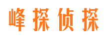 来安出轨调查